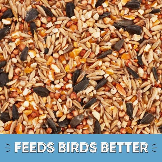 Happy Beaks - Wild Bird No Wheat Seed Mix